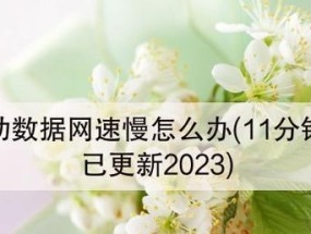 5G手机网速慢的原因及解决方法（深入探究5G手机网速缓慢的背后问题）