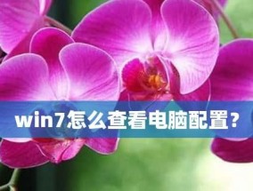 如何查看电脑配置——Win7系统下的方法（快速了解你的电脑硬件和软件配置）